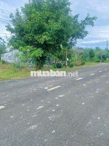 Đất chính chủ mặt tiền DH 519 chỉ 350tr ở Phước Thành ,Tp Hồ Chí Minh