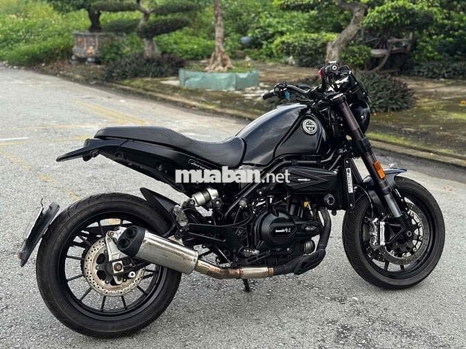 Leocino 500 2019 Sạch Đẹp