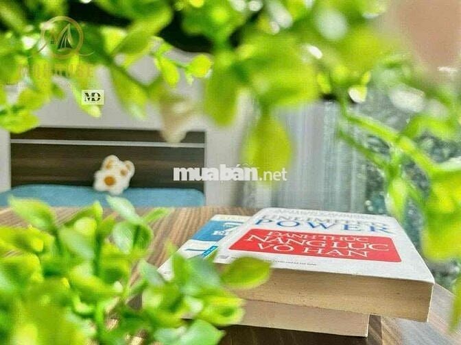 CHO THUÊ CHDV STUDIO CỬA SỔ LỚN VIEW THÀNH PHỐ THANG MÁY NGAY TÂN ĐINH