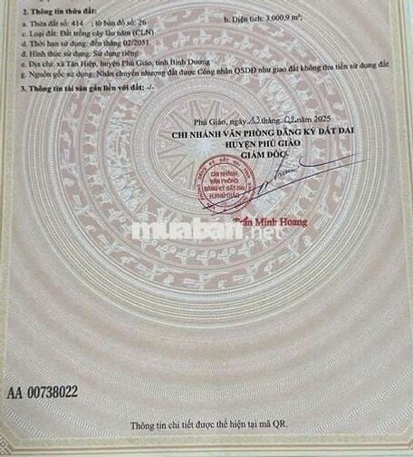 Đất Sào Giá rẻ đường nhựa xe công 3.000m² giá chốt 116 triệu/mét ngang