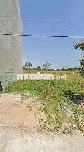 💫 Bán Đất gần KCN Đức Hoà III, Sổ Hồng Riêng, Đầu tư đón đầu sinh lời