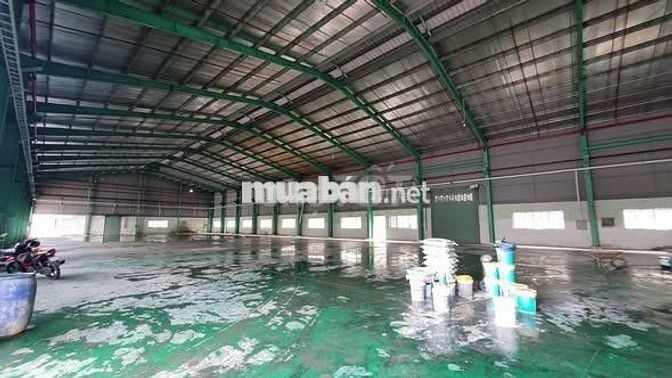 Cho thuê kho xưởng 5.000m² + VP tại KCN Đức Hòa Đông, Long An, mới xây