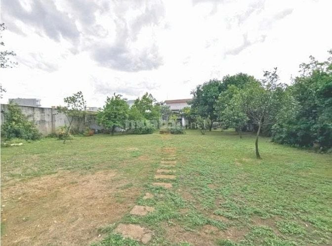 Siêu phẩm biệt thự vườn ven sông Bưng Ông Thoàn, 1.400m² chỉ 35 tỷ