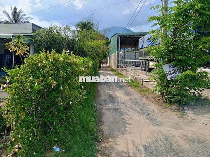 Gần chợ & UBND XÃ PHAN , rớt nhựa 781 50m