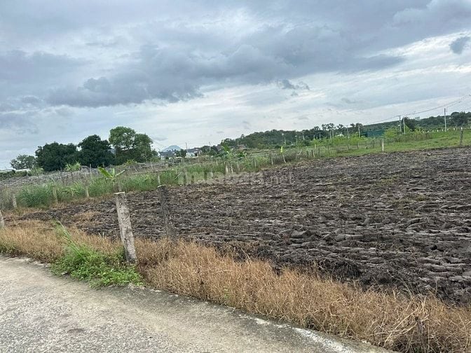 💥 Siêu Phẩm Full Thổ Cư 6x30 – Giá Chỉ 500 Triệu – Hiếm Khó Tìm Tại L