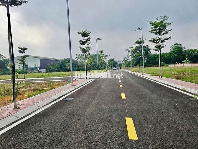 Gấp Cần Bán Nhanh - Rẻ Nhất Láng Hoà Lạc Chưa Bao Giờ Có