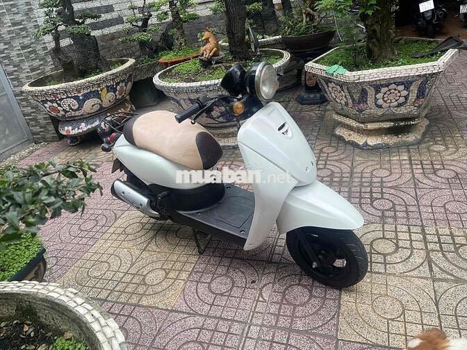 Bán xe Scoopy 50cc,Bst29 đời 2017,xe đẹp Gtdd