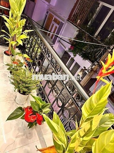 Cho thuê nhà đg.bùi thị xuân.p1.tân bình