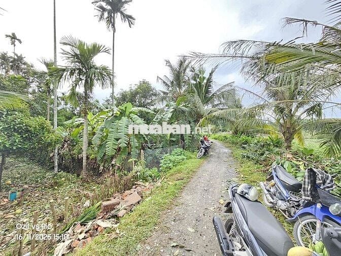 đất Vườn phường Thuânn An ngay TT TP HCM