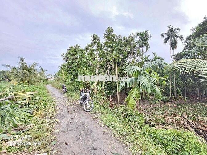 đất Vườn phường Thuânn An ngay TT TP HCM