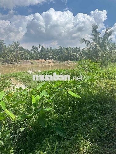 đất Vườn phường Thuânn An ngay TT TP HCM