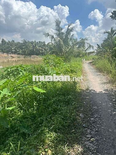 đất Vườn phường Thuânn An ngay TT TP HCM