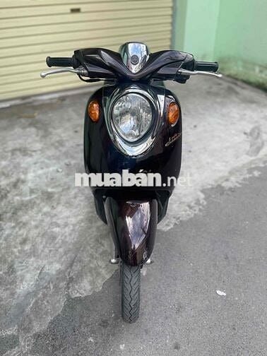 Yamaha Classico màu Nâu