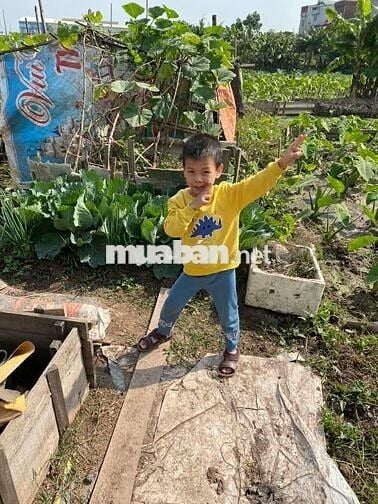 CHO THUÊ NHÀ NGUYÊN CĂN PHÂN LÔ 03 TẦNG + 01 TUM