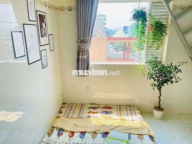 🔴Phòng có gác sạch sẽ cửa sổ thoáng mát - Ngay chợ Cầu Quang Trung