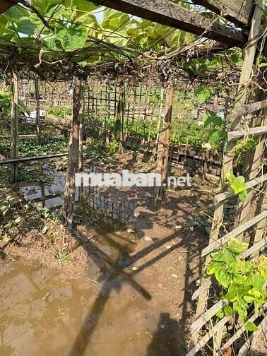 CHO THUÊ NHÀ NGUYÊN CĂN PHÂN LÔ 03 TẦNG + 01 TUM