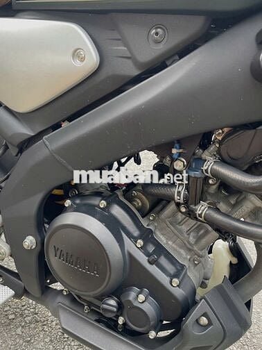 HONDA XSR 155 - 2021