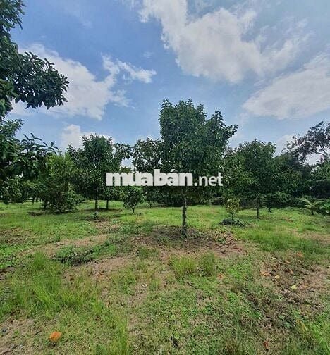 Bán Đất Xây Nghỉ Dưỡng Phường Bình Lộc - Long Khánh