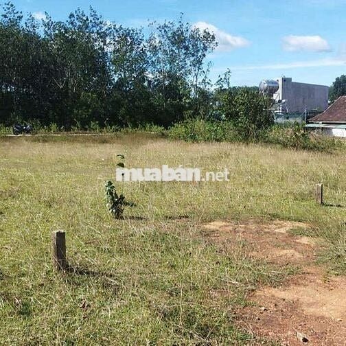 Bán đất thôn 4,, dakcam, quãng ngãi. View hồ chà môn. Đất cao ráo.