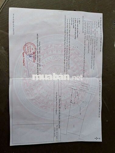 CHỦ CẦN TIỀN GỞI BÁN LÔ ĐẤT MẶT TIỀN ĐÀ NẴNG GIÁ RẺ