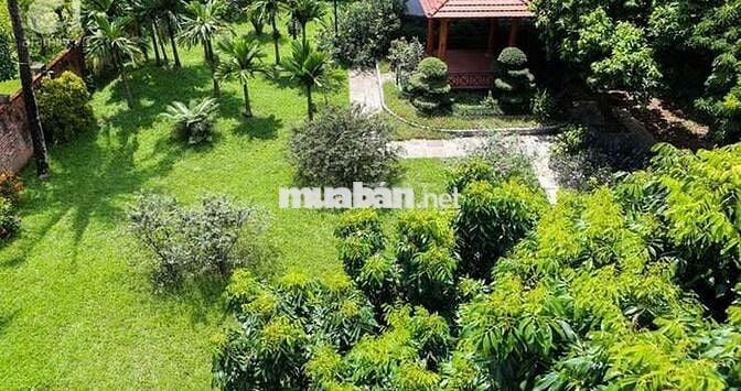 Bán Đất Xây Nghỉ Dưỡng Phường Bình Lộc - Long Khánh