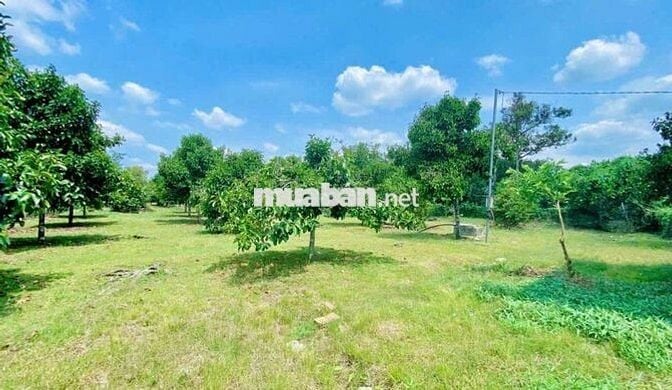 Bán Đất Xây Nghỉ Dưỡng Phường Bình Lộc - Long Khánh