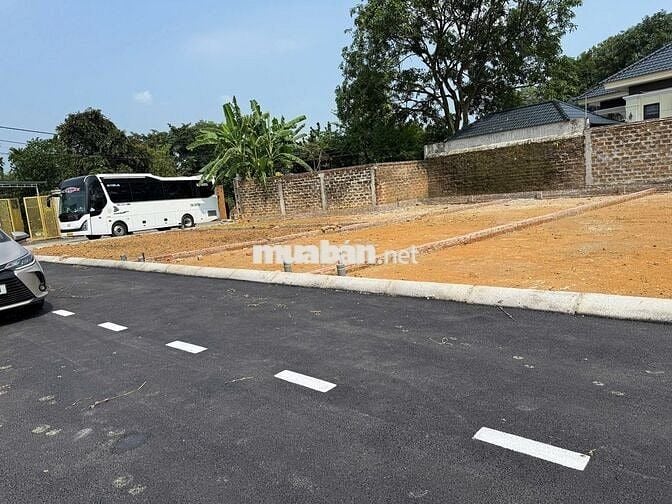 🔥 Bán gấp đất nền Hòa Lạc 100m² – Sổ đỏ từng lô, giá chỉ 3 TỶ!