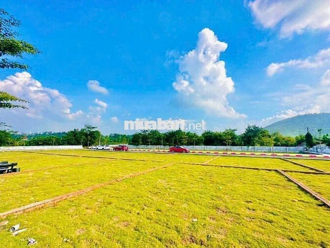 🔥 Bán gấp đất nền Hòa Lạc 100m² – Sổ đỏ từng lô, giá chỉ 3 TỶ!