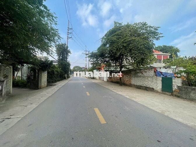 🔥 Bán gấp đất nền Hòa Lạc 100m² – Sổ đỏ từng lô, giá chỉ 3 TỶ!