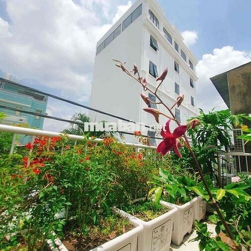 Chuyển Nhượng Nhà Khu Công Giáo- Không Ngập Nước- Hẻm Xe Hơi Thoáng