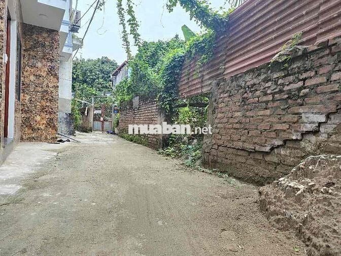 đất Thượng Cát - 56m2 - giá đầu tư - ngõ nông - rẻ hơn thị trường