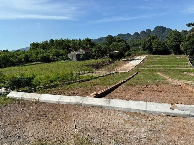 🔥 CHỐT DEAL CUỐI CÙNG – 490 TRIỆU SỞ HỮU NGAY LÔ ĐẸP MẶT TRỤC TÂY BẮC