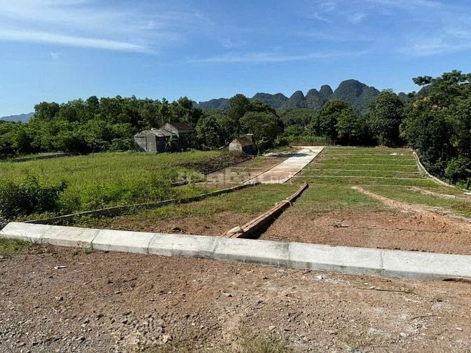 🔥 CHỐT DEAL CUỐI CÙNG – 490 TRIỆU SỞ HỮU NGAY LÔ ĐẸP MẶT TRỤC TÂY BẮC