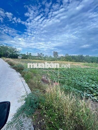 Tại Bình Mỹ, Huyện Bắc Tân Uyên, Tỉnh Bình Dương  cũ Khu dân cư hiện h