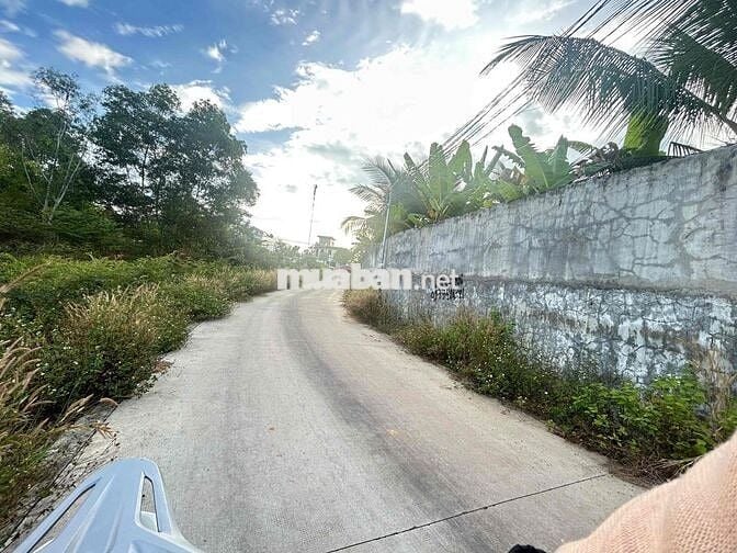 Tại Bình Mỹ, Huyện Bắc Tân Uyên, Tỉnh Bình Dương  cũ Khu dân cư hiện h