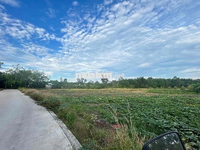 Tại Bình Mỹ, Huyện Bắc Tân Uyên, Tỉnh Bình Dương  cũ Khu dân cư hiện h