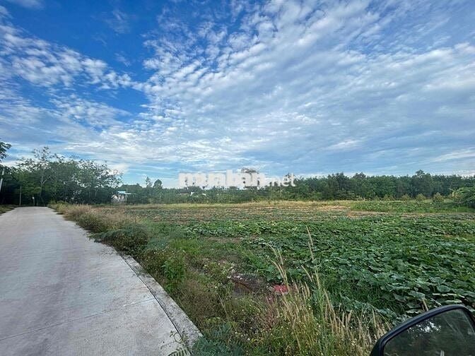 Tại Bình Mỹ, Huyện Bắc Tân Uyên, Tỉnh Bình Dương  cũ Khu dân cư hiện h