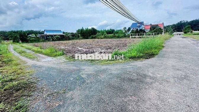 Đất 1500m2 (30*50) sẵn 100TC tại Bình Phước giá chỉ 350tr