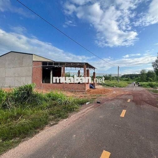 Lô Đất Ngộp Đồng Phú- Bình Phước- Giá 489tr/139m2.