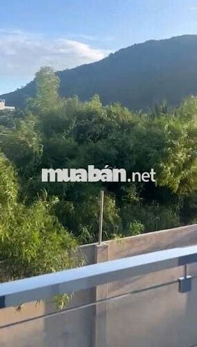 Bán nhanh đất mặt đường Thành Công, xã Xuân Trường, Xuân Lộc, Đồng Nai