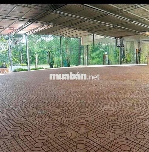 Cho thuê mặt bằng diện tích lớn[ 21*60m= nở hậu 23m] khu tân lợi : tổn