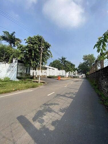 BÀ CHỊ PHÁ SẢN BÁN GẤP LÔ ĐẤT KHU DU LỊCH BỬU LONG