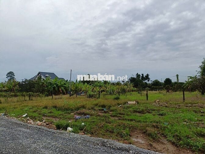 BÀ CHỊ PHÁ SẢN BÁN GẤP LÔ ĐẤT KHU DU LỊCH BỬU LONG