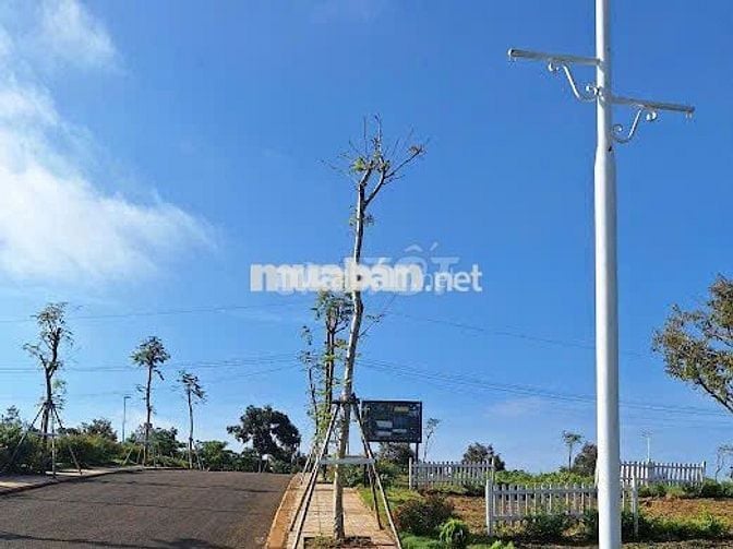KẸT TIỀN CẦN BÁN GẤP LÔ ĐẤT GẦN QUỐC LỘ 20 LÂM ĐỒNG