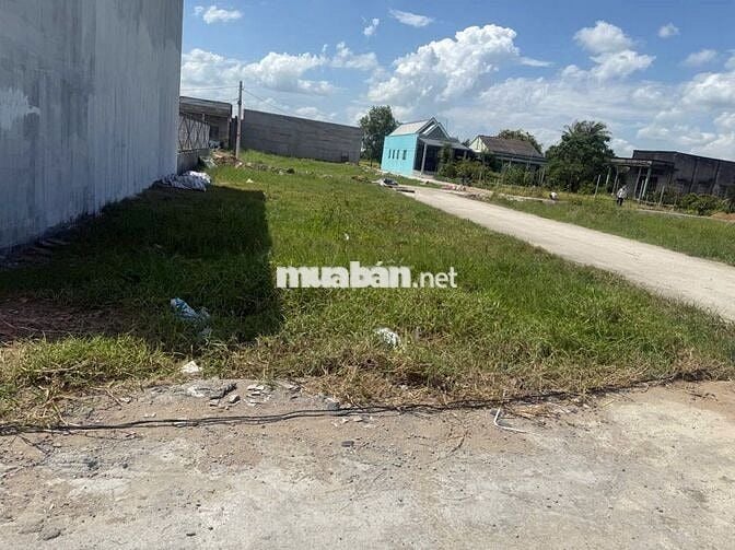 Chính chủ Bán đất full thổ cư 3MT đường 4m cách QL DT833B 500m- 1 tỷ 6