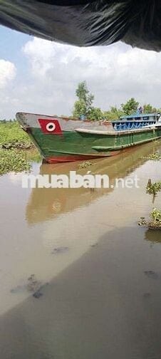 Đất vườn 1000 MV  Bình Đức bến lức Long An