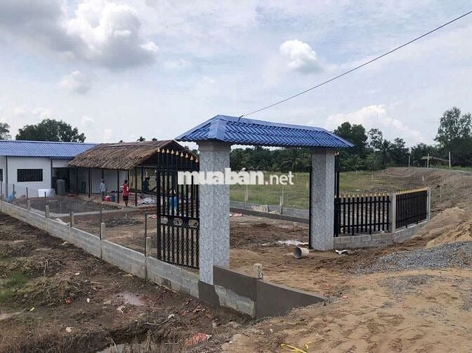 Đất vườn 1000 MV  Bình Đức bến lức Long An