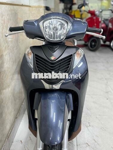 SH moden màu xám 2019 mới keng 43C2-086.43