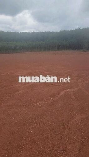 Bán 1 vài  MIẾNG ĐẤT TÂN TIẾN >200m2 giá từ 640tr!