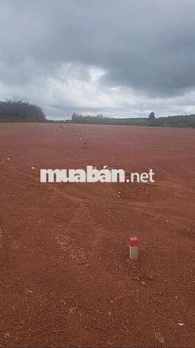 Bán 1 vài  MIẾNG ĐẤT TÂN TIẾN >200m2 giá từ 640tr!